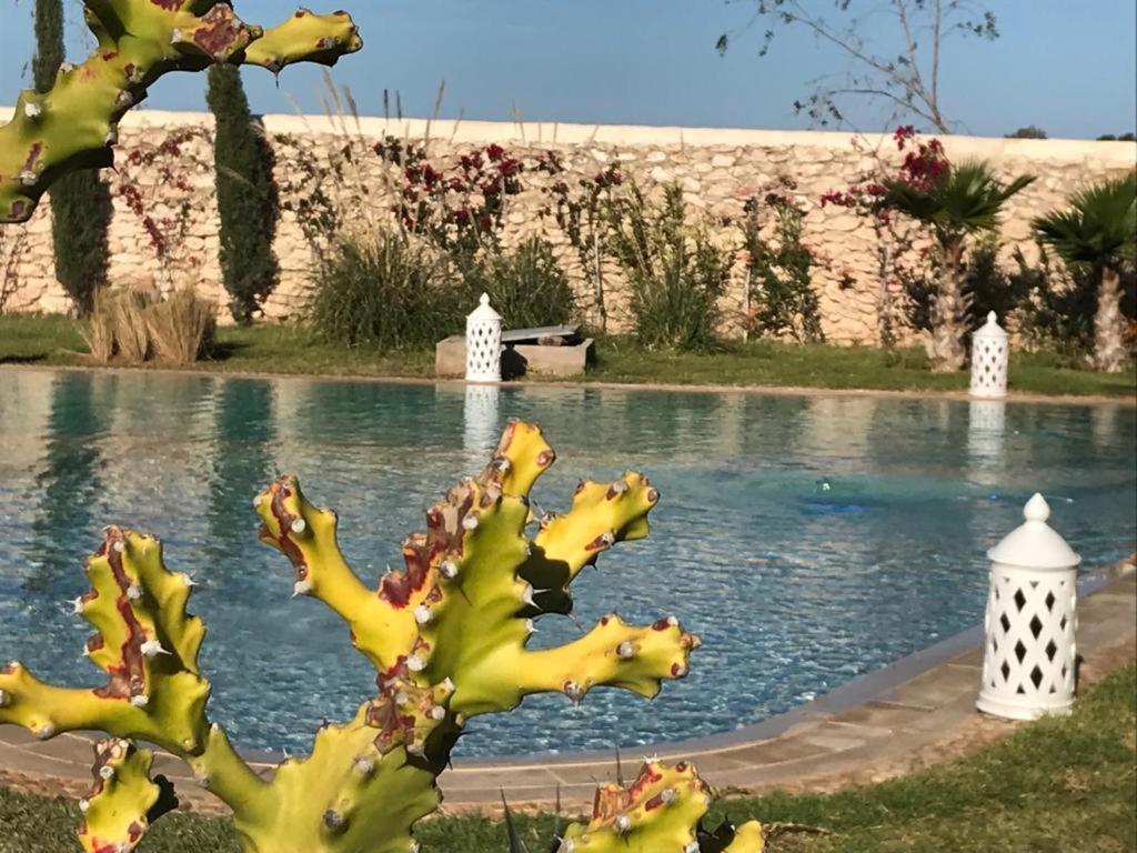 La Maison D'Helene Essaouira Al Ghar Exteriör bild